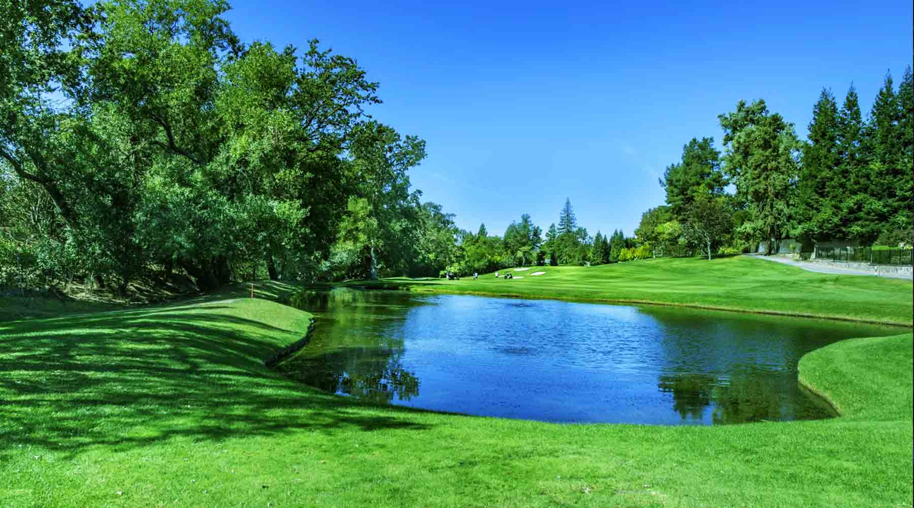 Algaecide for Ponds: How to Finally Win the Fight Against Algae, Scum, and Murky Water at Paragon Ponds