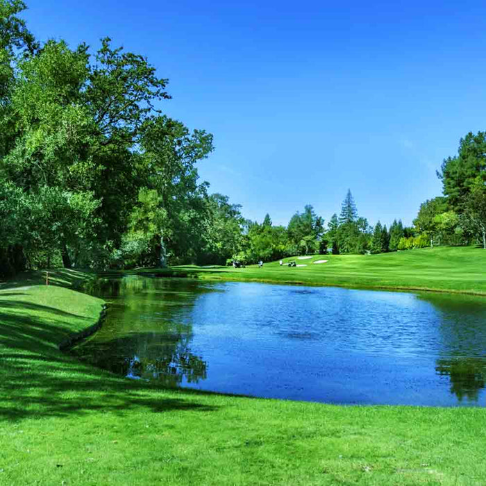 Algaecide for Ponds: How to Finally Win the Fight Against Algae, Scum, and Murky Water at Paragon Ponds