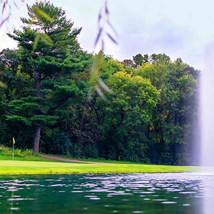 Golf Course Water Features: Design and Maintenance Tips at Paragon Ponds