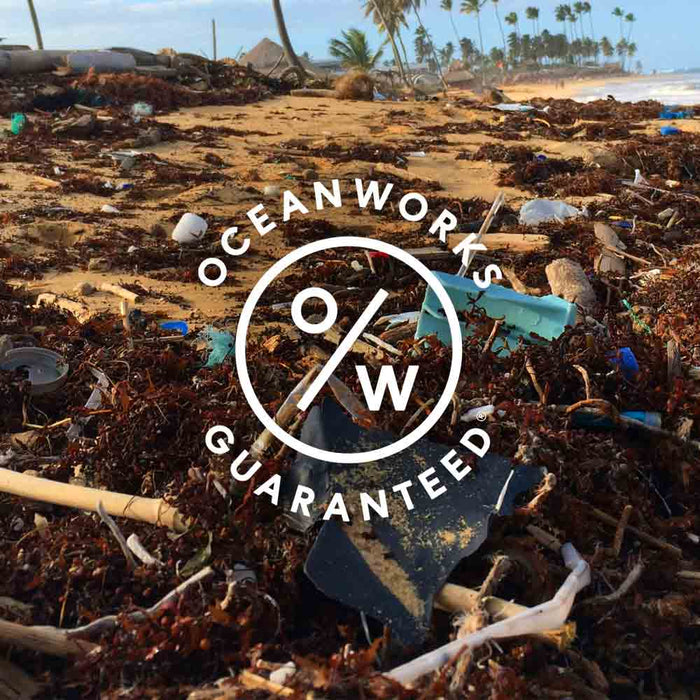 Oceanworks: Tackling Ocean Plastic Pollution One Purchase at a Time by Paragon Ponds