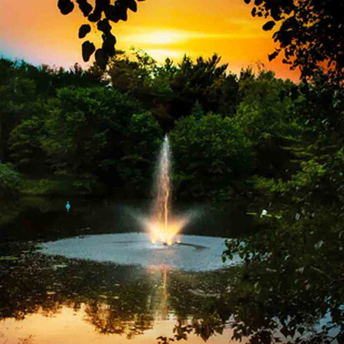 Illuminate Your Waters: Transformative Lighting Ideas for Ponds