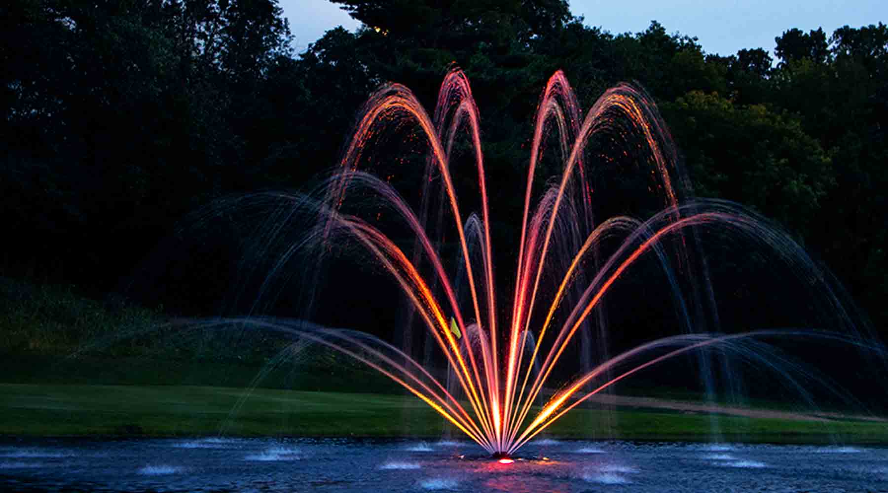 Light Up Your Nights: Illuminating Your Pond's Beauty After Dark