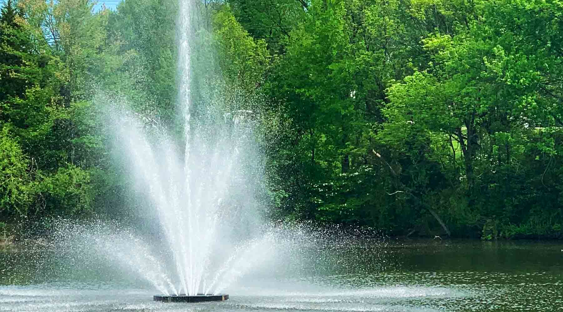 Splash of Style: Choosing the Perfect Fountain for Your Pond's Personality