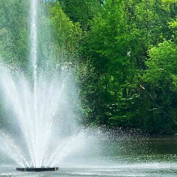 Splash of Style: Choosing the Perfect Fountain for Your Pond's Personality