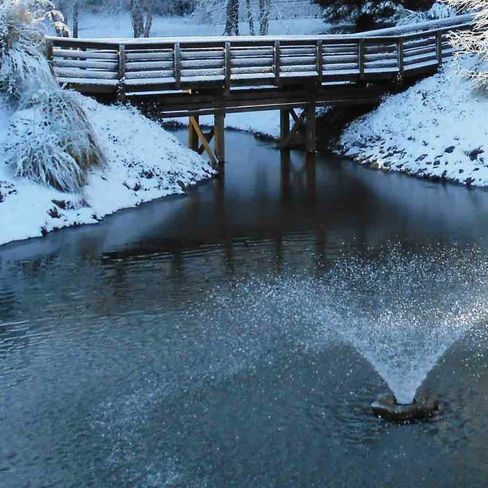 Winter Survival Guide: Keeping Your Pond Healthy During the Cold Months