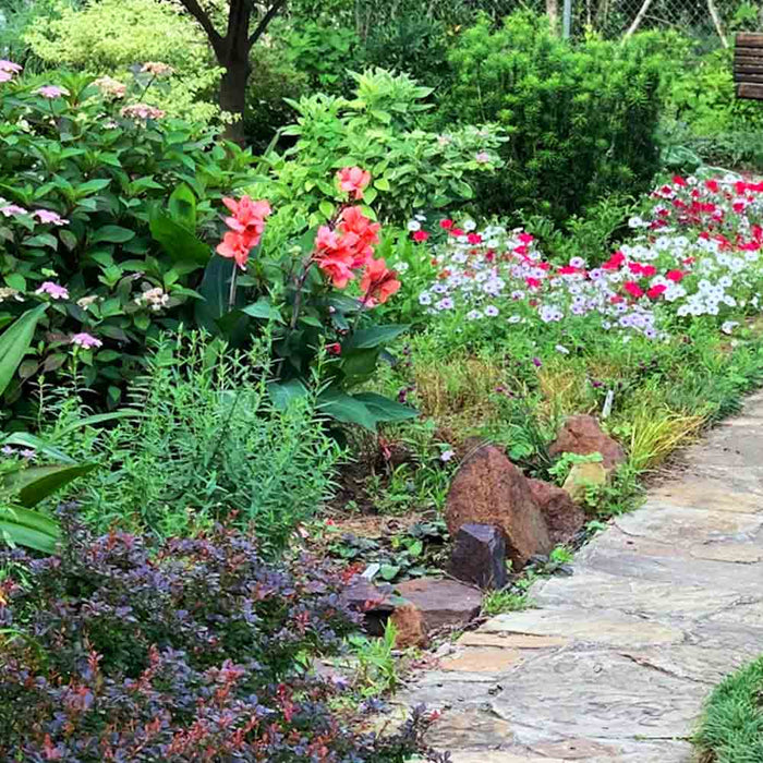 Transform Your Outdoor Space: 10 DIY Landscaping Projects for Every Budget at Paragon Ponds