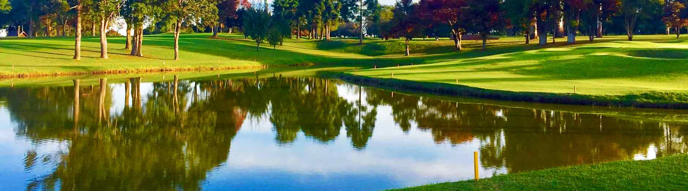 Algaecides, Conditioners, Dyes, Lake Restoration and other Water Treatments at Paragon Ponds