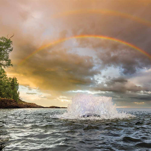 Kasco Marine 2 HP 8400AF Surface Aerator - 208-240V Single Phase Rainbow at Paragon Ponds