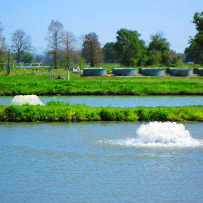 Kasco Marine 2 HP 8400AF Surface Aerator - 208-240V Single Phase - Two Aerators in Pond Image - at Paragon Ponds