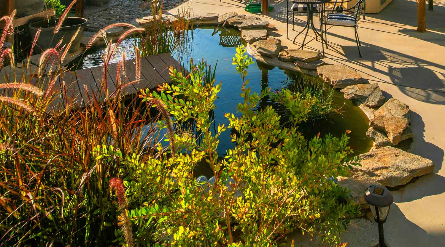 Paragon Ponds—Aerators De-Icers Fountains Circulators Lighting Kits Pumps Concrete Patio Pond