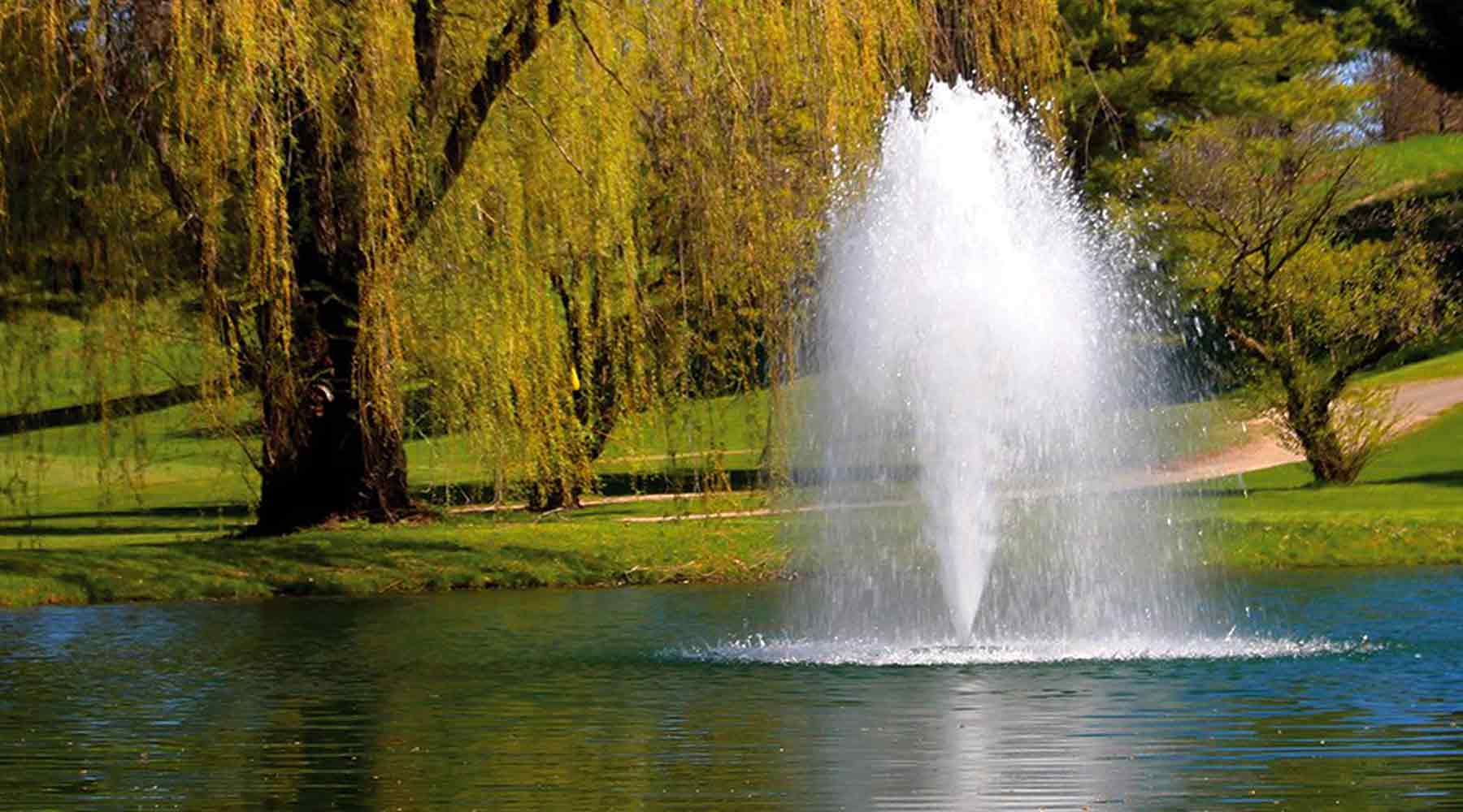 Paragon Ponds has fountains to enhance your pond or lake while helping keep it free from algae and sediment build up.